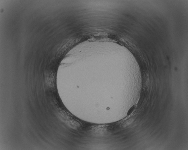 X0000062650078200601111202