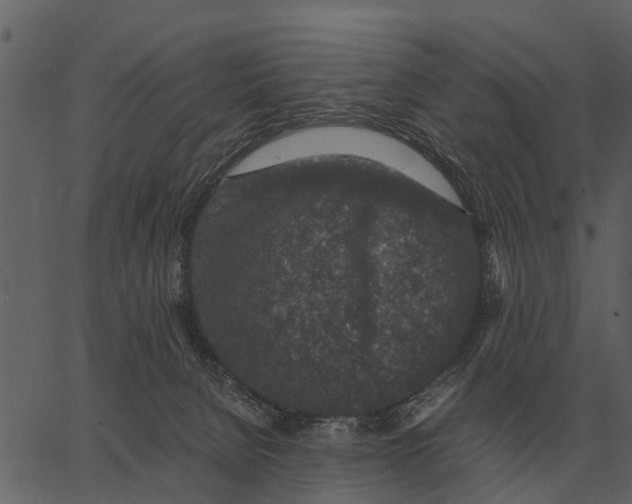 X0000062650080200601111202