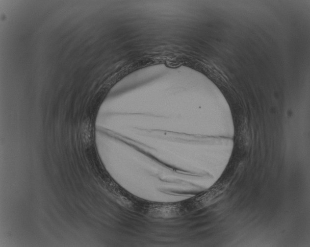 X0000062650081200601111202