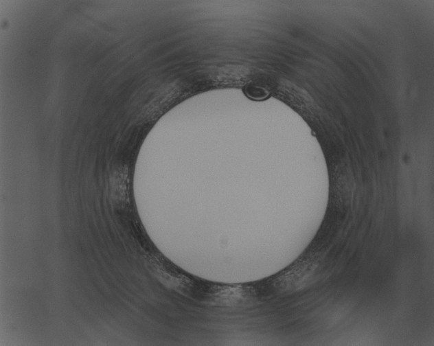 X0000062650083200601111203