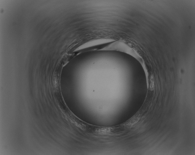 X0000062650084200601111203