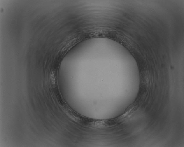 X0000062650086200601111203