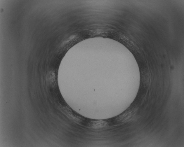 X0000062650087200601111203