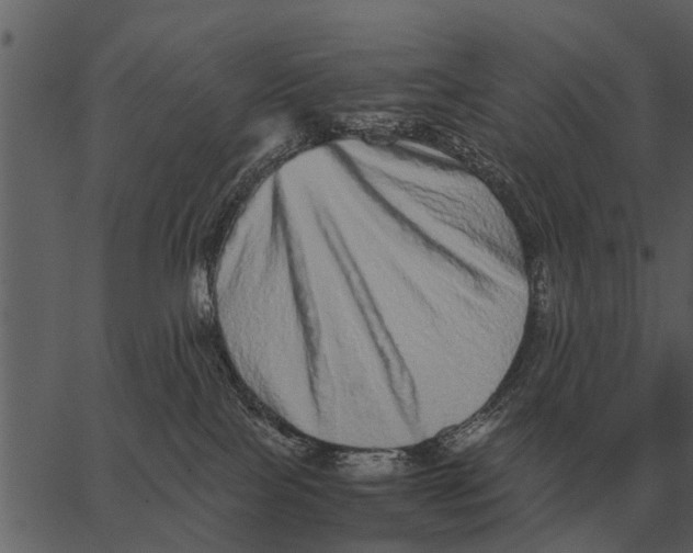 X0000062650089200601111203