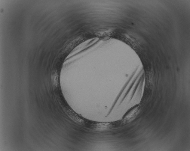 X0000062650090200601111203