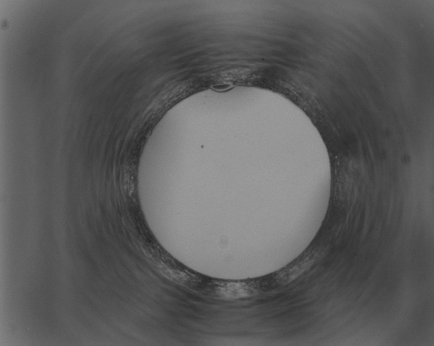 X0000062650091200601111203