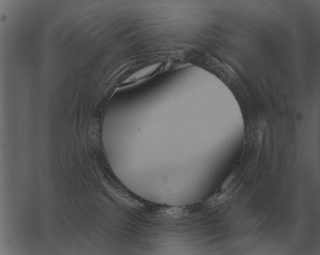 X0000062650092200601111203