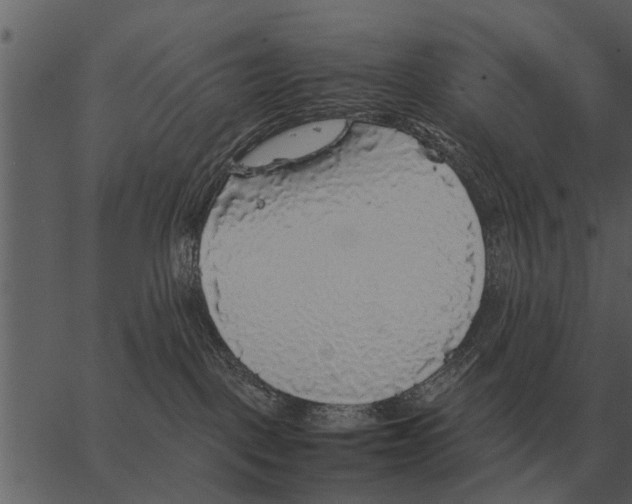 X0000062650093200601111203