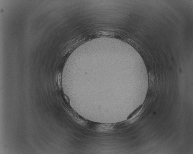 X0000062650094200601111203