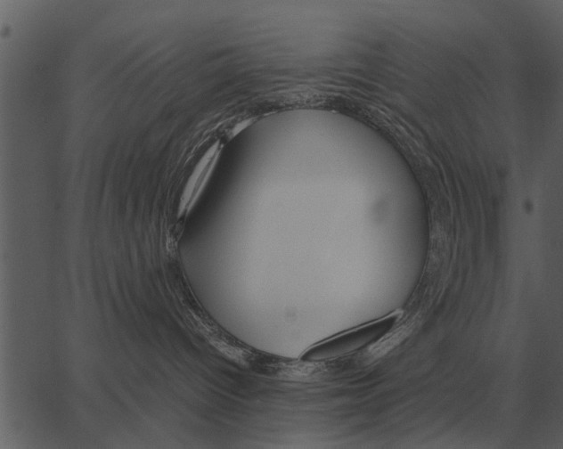 X0000062650096200601111203