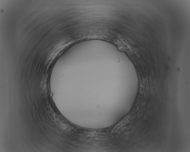 X0000062650098200601111202