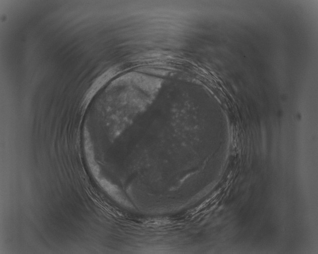 X0000062650099200601111202