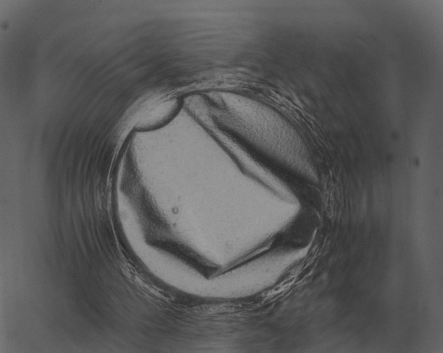 X0000062650100200601111202