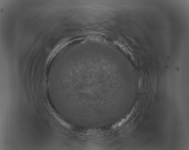 X0000062650101200601111202