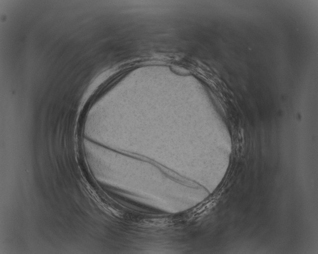 X0000062650102200601111202