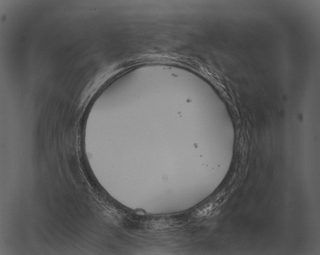 X0000062650103200601111202