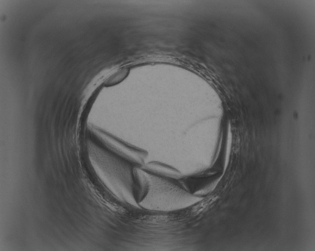 X0000062650104200601111202