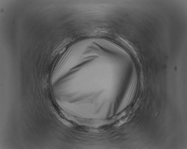 X0000062650105200601111202