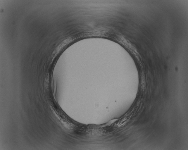 X0000062650107200601111202