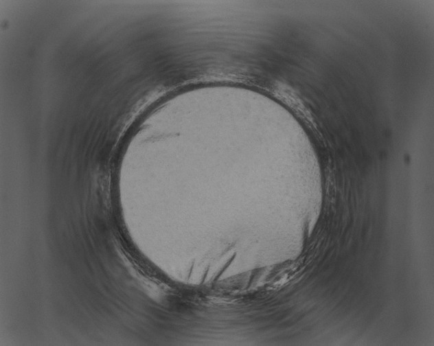 X0000062650108200601111202