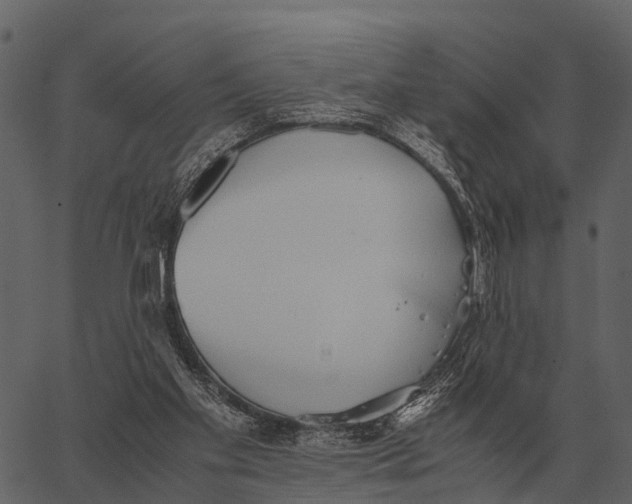 X0000062650109200601111202