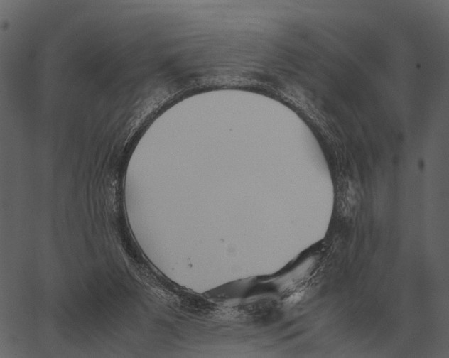 X0000062650111200601111202