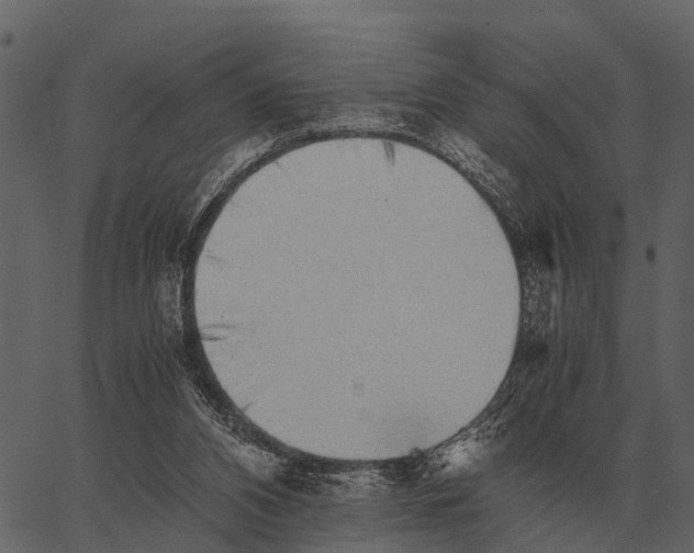 X0000062650112200601111202