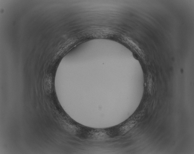 X0000062650113200601111202