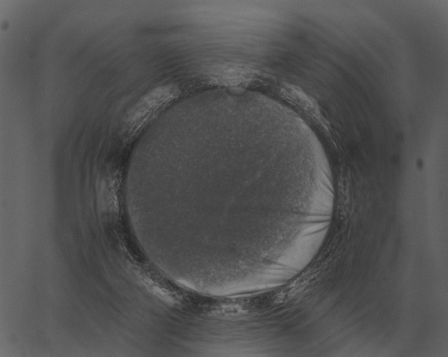 X0000062650114200601111202