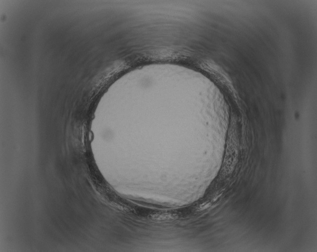 X0000062650115200601111202