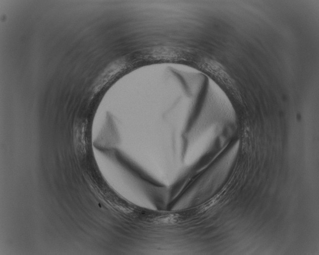 X0000062650116200601111202