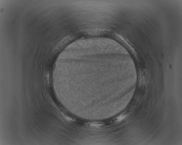 X0000062650117200601111202