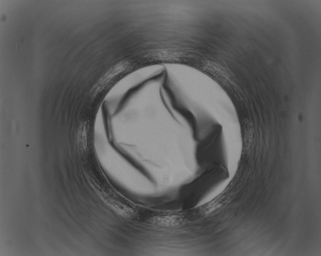 X0000062650120200601111202