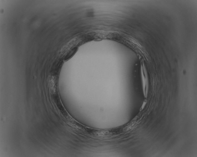 X0000062650121200601111202