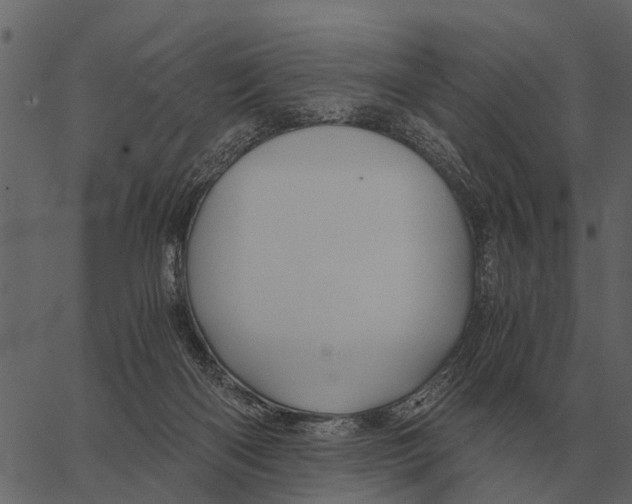 X0000062650122200601111201