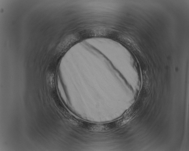 X0000062650123200601111201