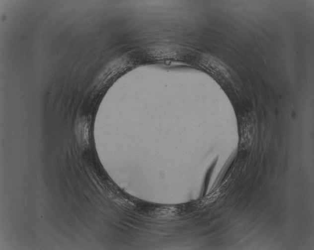 X0000062650124200601111201