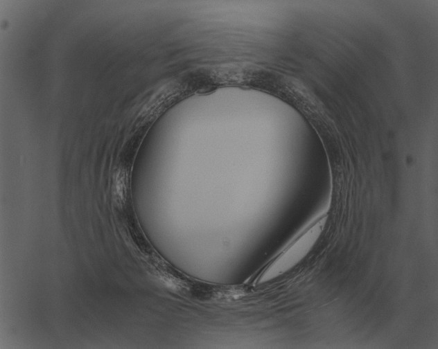 X0000062650125200601111201