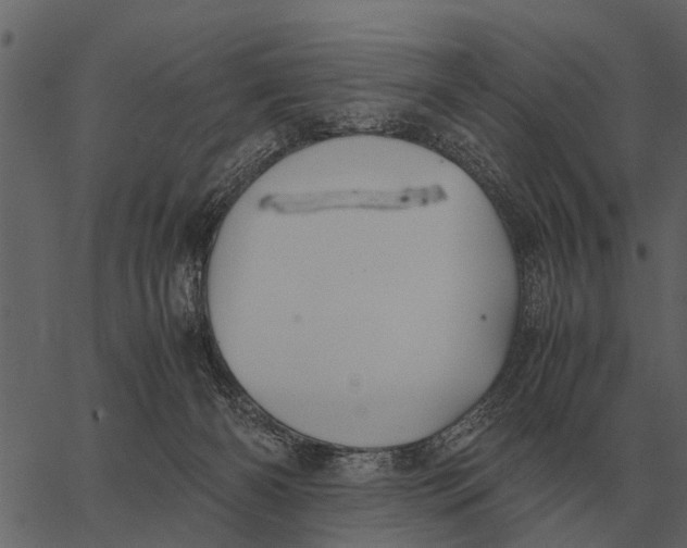 X0000062650126200601111201