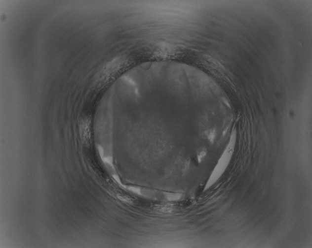 X0000062650127200601111201