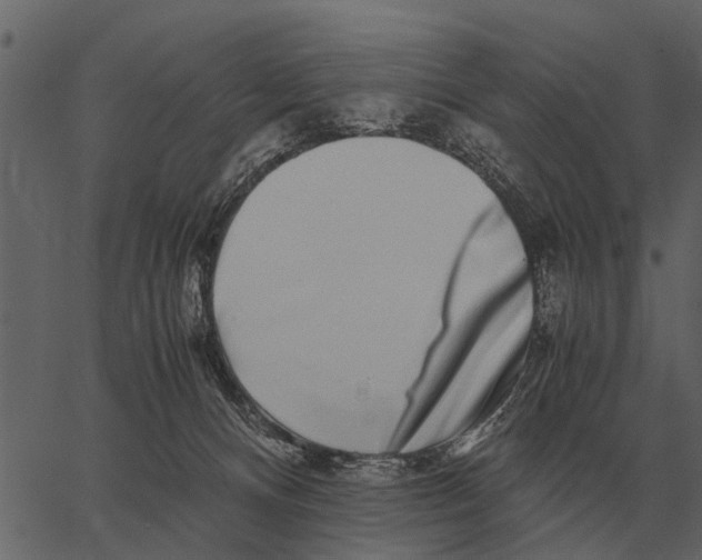 X0000062650128200601111201