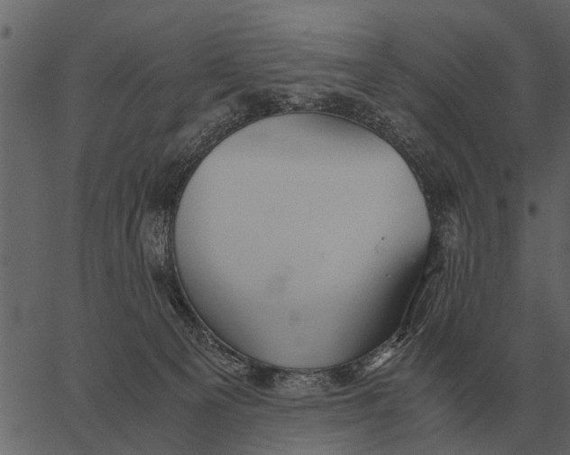 X0000062650129200601111201