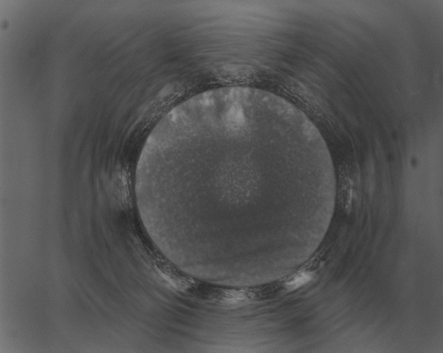 X0000062650130200601111201