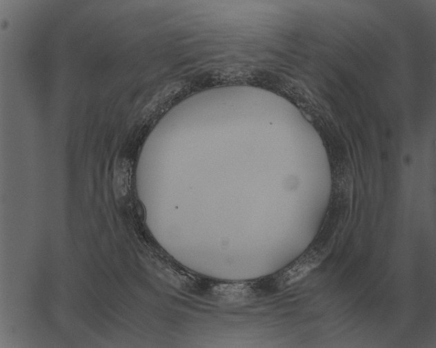 X0000062650133200601111201