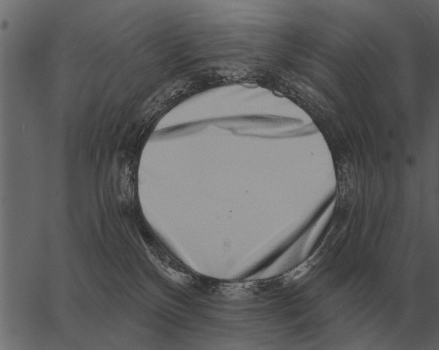 X0000062650136200601111201