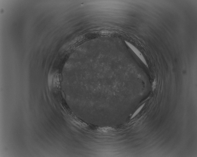 X0000062650137200601111201