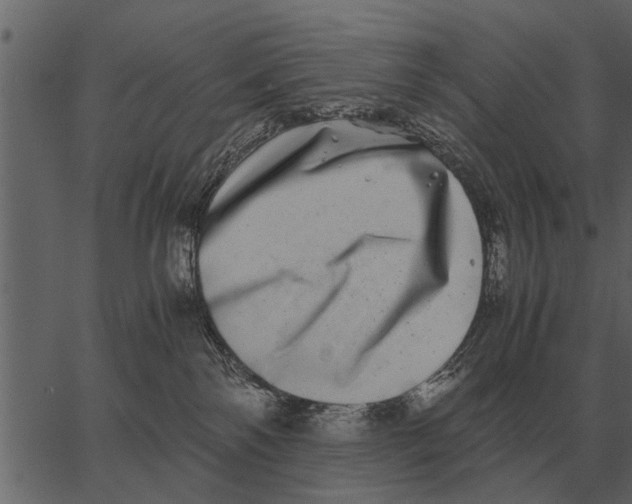 X0000062650138200601111201