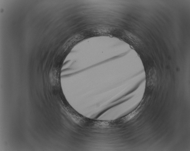 X0000062650140200601111201