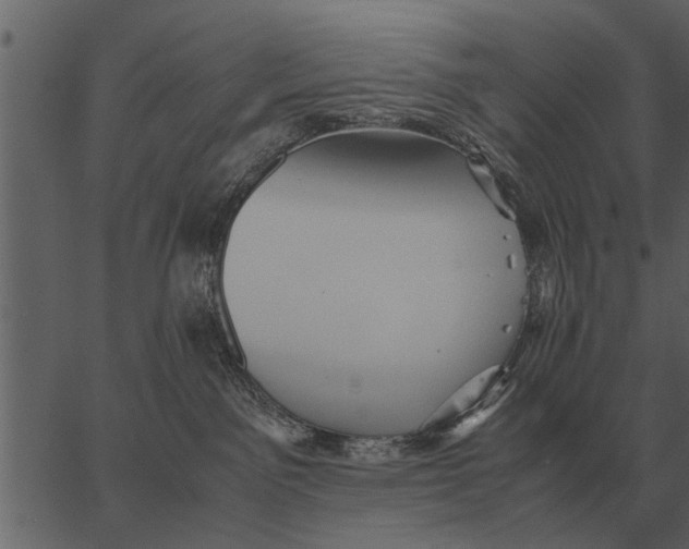 X0000062650141200601111201