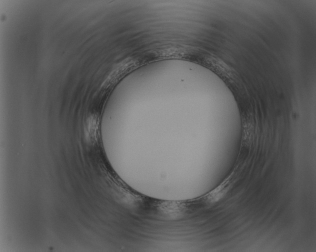 X0000062650142200601111201